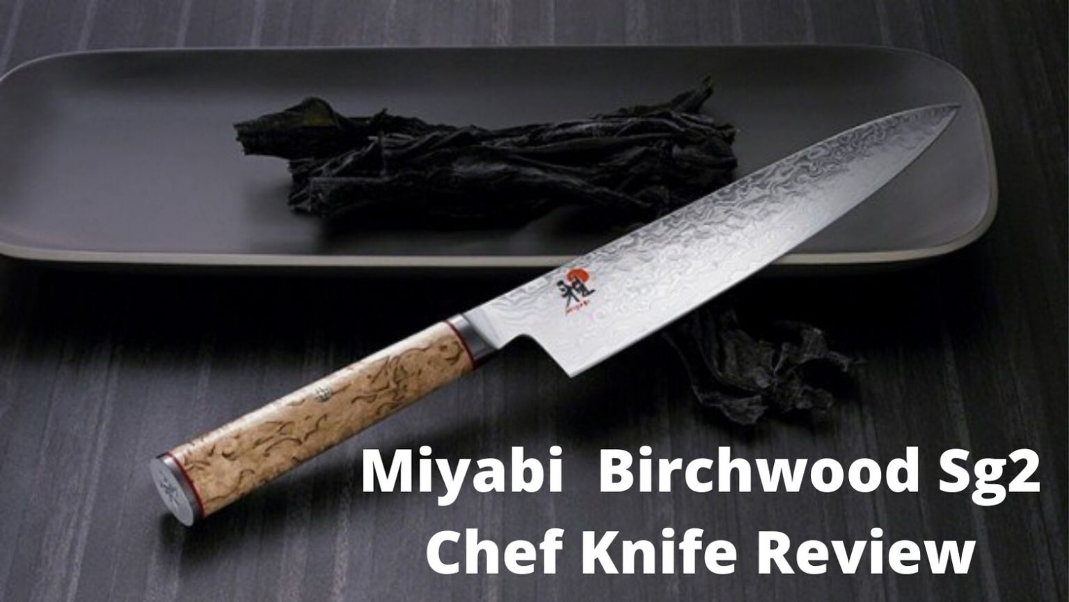 Miyabi Birchwood Sg2 Review - 8 inch Chef Knife