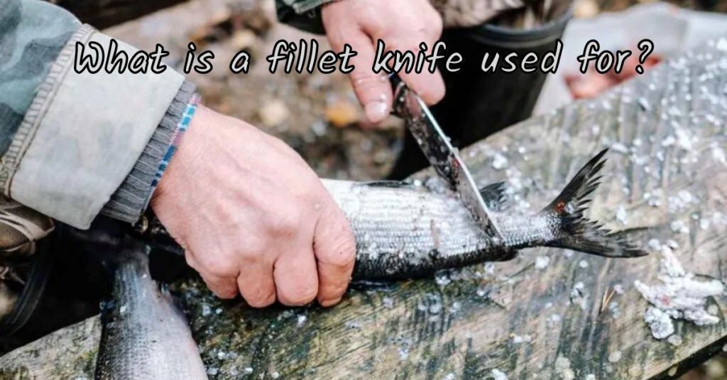 what-is-a-fillet-knife-used-for-full-guide